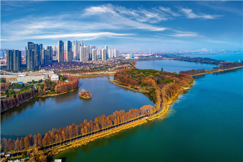 令人拍案叫絕的綠道景觀設計