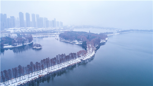 令人拍案叫絕的綠道景觀設計