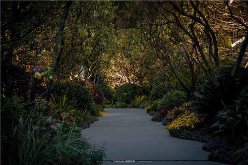 打造夢想中的自然棲息地丨浙江龍湖坤和·天境