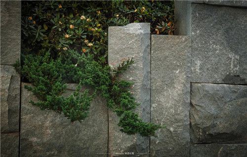 打造夢想中的自然棲息地丨浙江龍湖坤和·天境