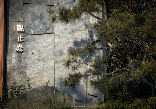 打造夢想中的自然棲息地丨浙江龍湖坤和·天境