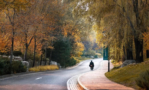 山水比德作品丨陽光城?君山墅