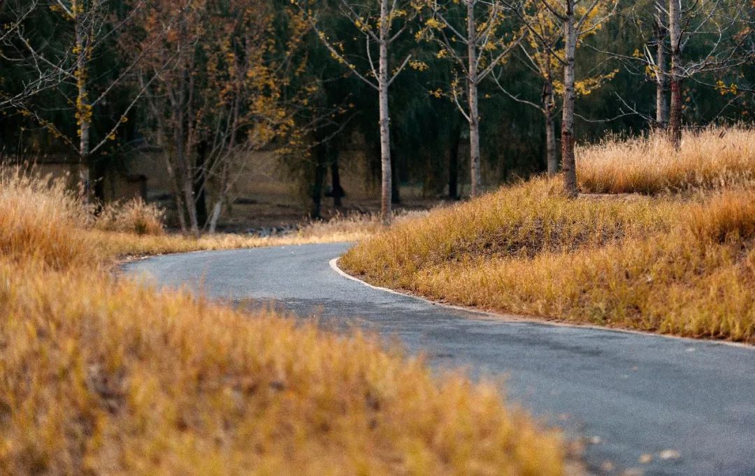 山水比德作品丨陽光城?君山墅