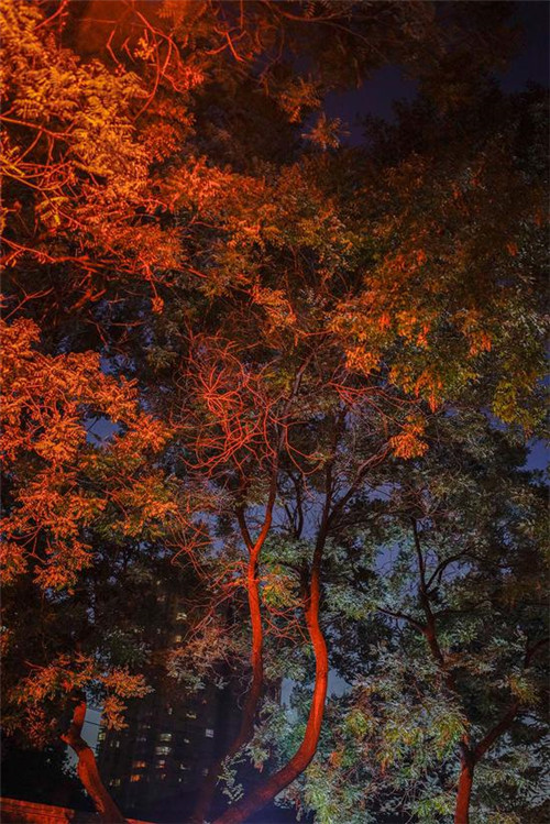 城市色彩規(guī)劃真的有人關(guān)心嗎?