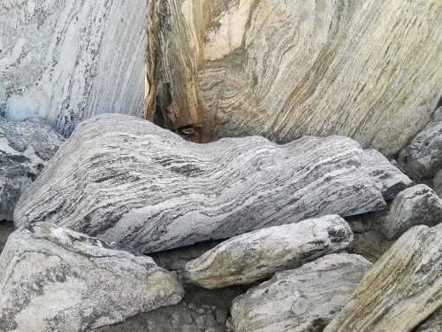 北京順景園林近期作品