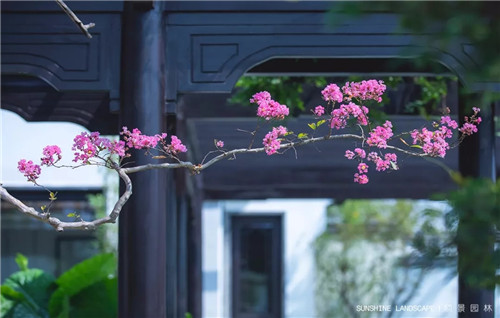 北京順景園林近期作品