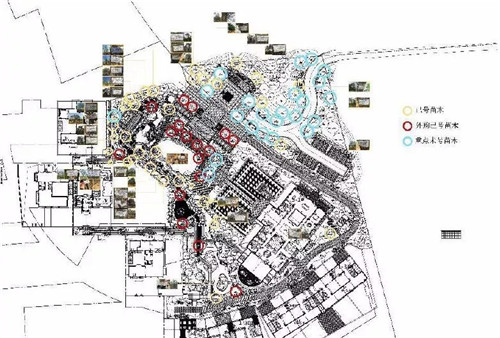 北京順景園林近期作品