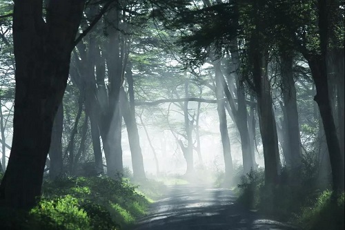 LAURENT羅朗景觀 | 世茂青島?璀璨天樾