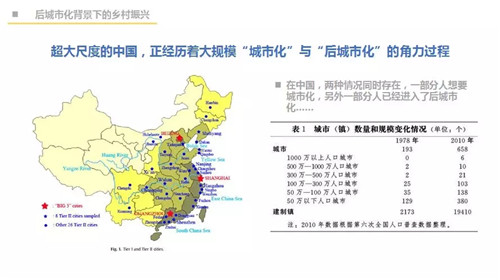 吳必虎:城鄉一體方能振興鄉村