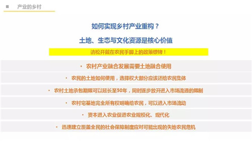 吳必虎:城鄉一體方能振興鄉村