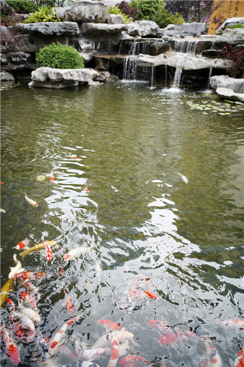 高宅大園 國風(fēng)賦新丨深圳泰禾金尊府