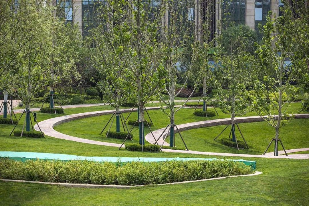 2019園冶杯專業獎丨和裕·尚峯壹號·海德公園