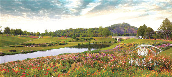 上海辰山植物園:植物界365天魔法師