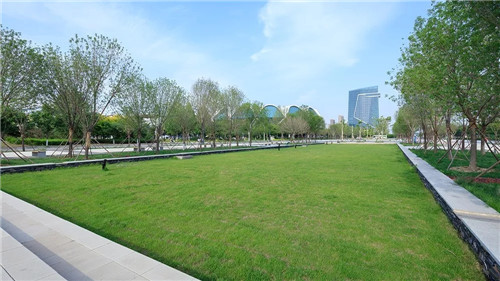 送雨水回家|遷安海綿城市建設成果