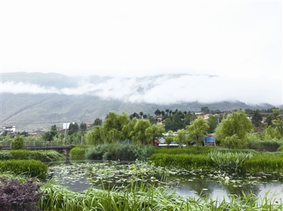 小微濕地:面積雖小 功能卻大