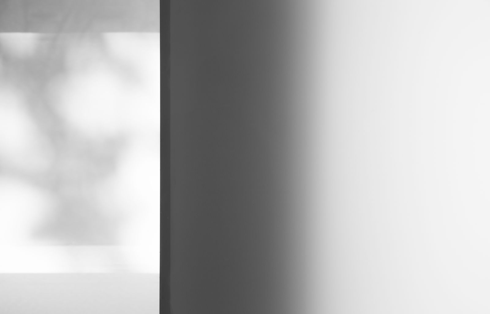 園冶杯專業獎:CVFC公寓