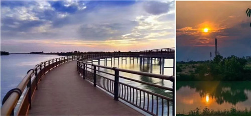 2019園冶杯專業(yè)獎丨荊門愛飛客極客公園