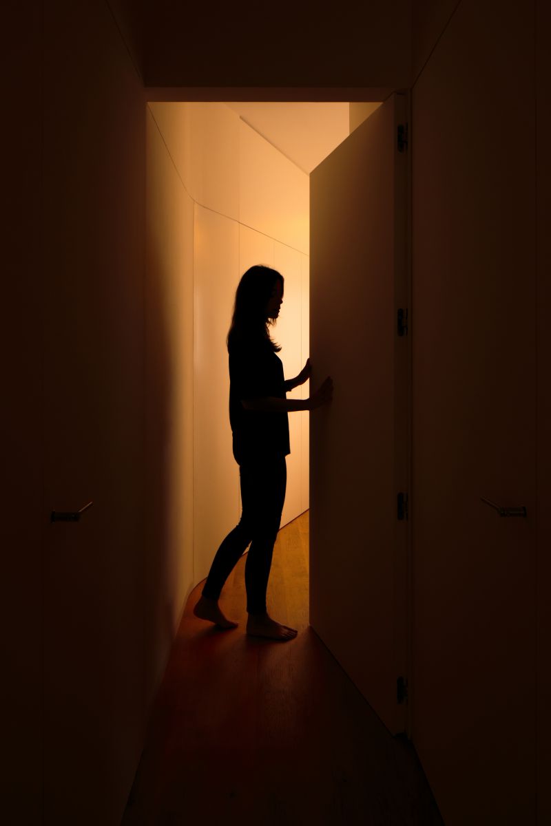 2019園冶杯專業獎|CíSCAR街上的屋子House on CíSCAR street