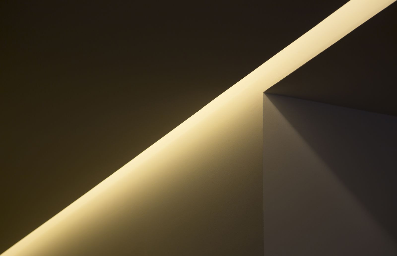 2019園冶杯專業獎|CíSCAR街上的屋子House on CíSCAR street