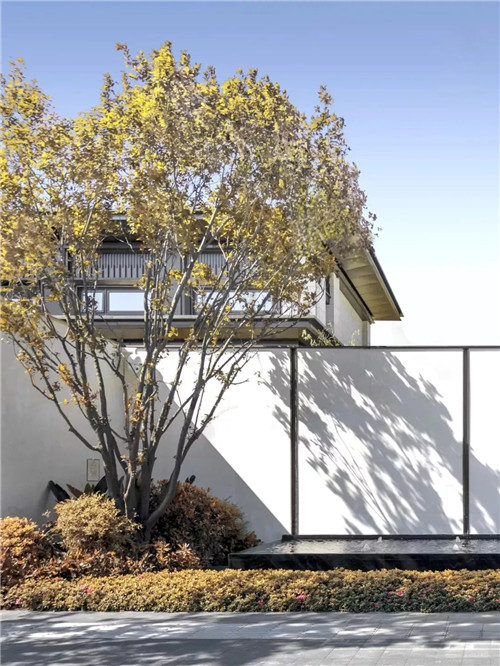 集江山大美 尋詩意江畔 | 金科集美江畔