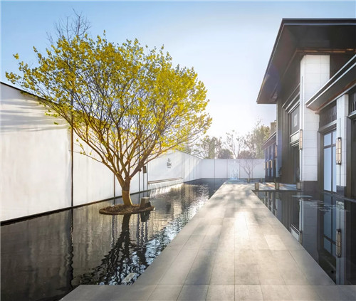 集江山大美 尋詩意江畔 | 金科集美江畔