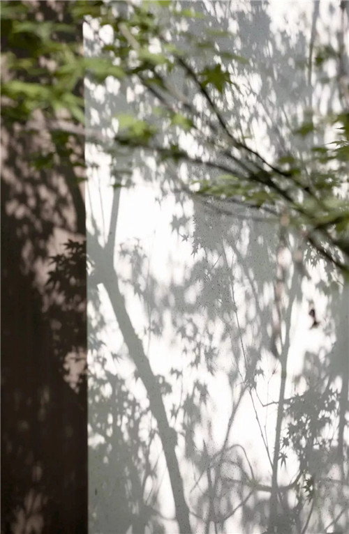 集江山大美 尋詩意江畔 | 金科集美江畔