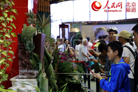 世界珍稀旗艦植物亮相世園會(huì)北京展區(qū)