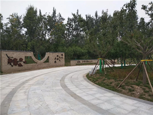 2019園冶杯專業獎丨灃河綜合治理二期西漢高速—G310國道景觀設計