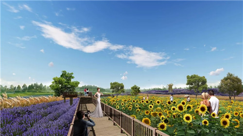 2019園冶杯專業獎丨灃河綜合治理二期西漢高速—G310國道景觀設計