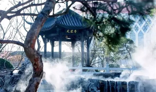 2019園冶杯專業獎丨達州藍光芙蓉風華