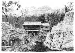 張建庭:用一支鋼筆,繪出西湖守候者的文化胸懷