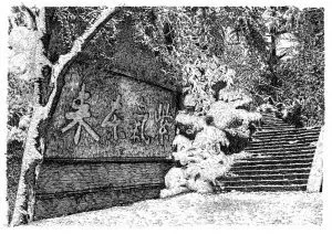 張建庭:用一支鋼筆,繪出西湖守候者的文化胸懷