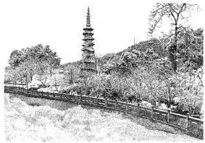 張建庭:用一支鋼筆,繪出西湖守候者的文化胸懷