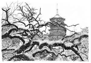 張建庭:用一支鋼筆,繪出西湖守候者的文化胸懷