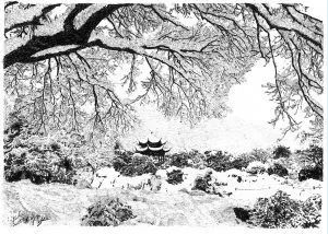 張建庭:用一支鋼筆,繪出西湖守候者的文化胸懷