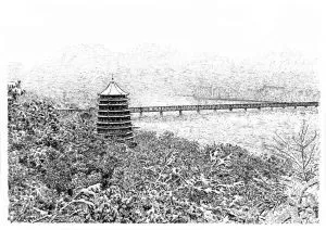 張建庭:用一支鋼筆,繪出西湖守候者的文化胸懷