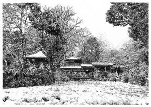 張建庭:用一支鋼筆,繪出西湖守候者的文化胸懷