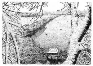 張建庭:用一支鋼筆,繪出西湖守候者的文化胸懷