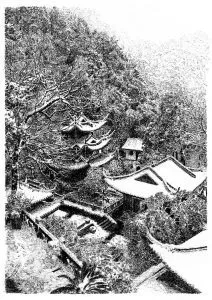 張建庭:用一支鋼筆,繪出西湖守候者的文化胸懷