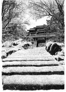 張建庭:用一支鋼筆,繪出西湖守候者的文化胸懷