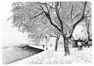 張建庭:用一支鋼筆,繪出西湖守候者的文化胸懷