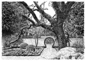 張建庭:用一支鋼筆,繪出西湖守候者的文化胸懷