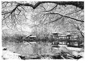 張建庭:用一支鋼筆,繪出西湖守候者的文化胸懷