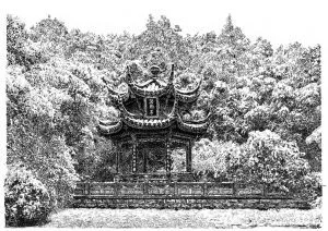 張建庭:用一支鋼筆,繪出西湖守候者的文化胸懷