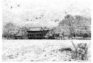 張建庭:用一支鋼筆,繪出西湖守候者的文化胸懷