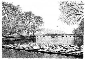 張建庭:用一支鋼筆,繪出西湖守候者的文化胸懷