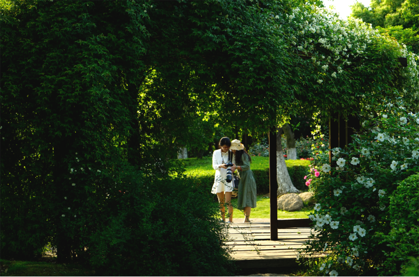 張曉鳴:風景園林與優美生態環境