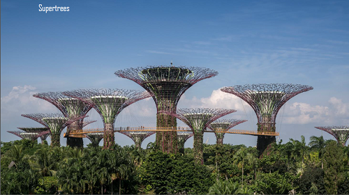 Stefaan Lambreghts:景觀與工程結(jié)合 打造人與自然的共存空間