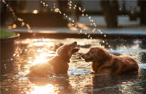 我把名字寫在了時間里丨華潤置地 西園悅府