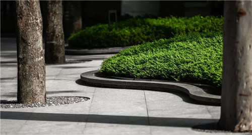 我把名字寫在了時間里丨華潤置地 西園悅府